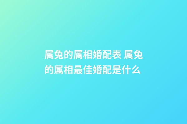 属兔的属相婚配表 属兔的属相最佳婚配是什么-第1张-观点-玄机派